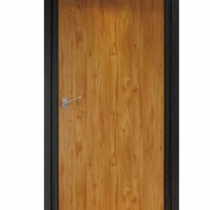 Steel-wood composite acoustic door